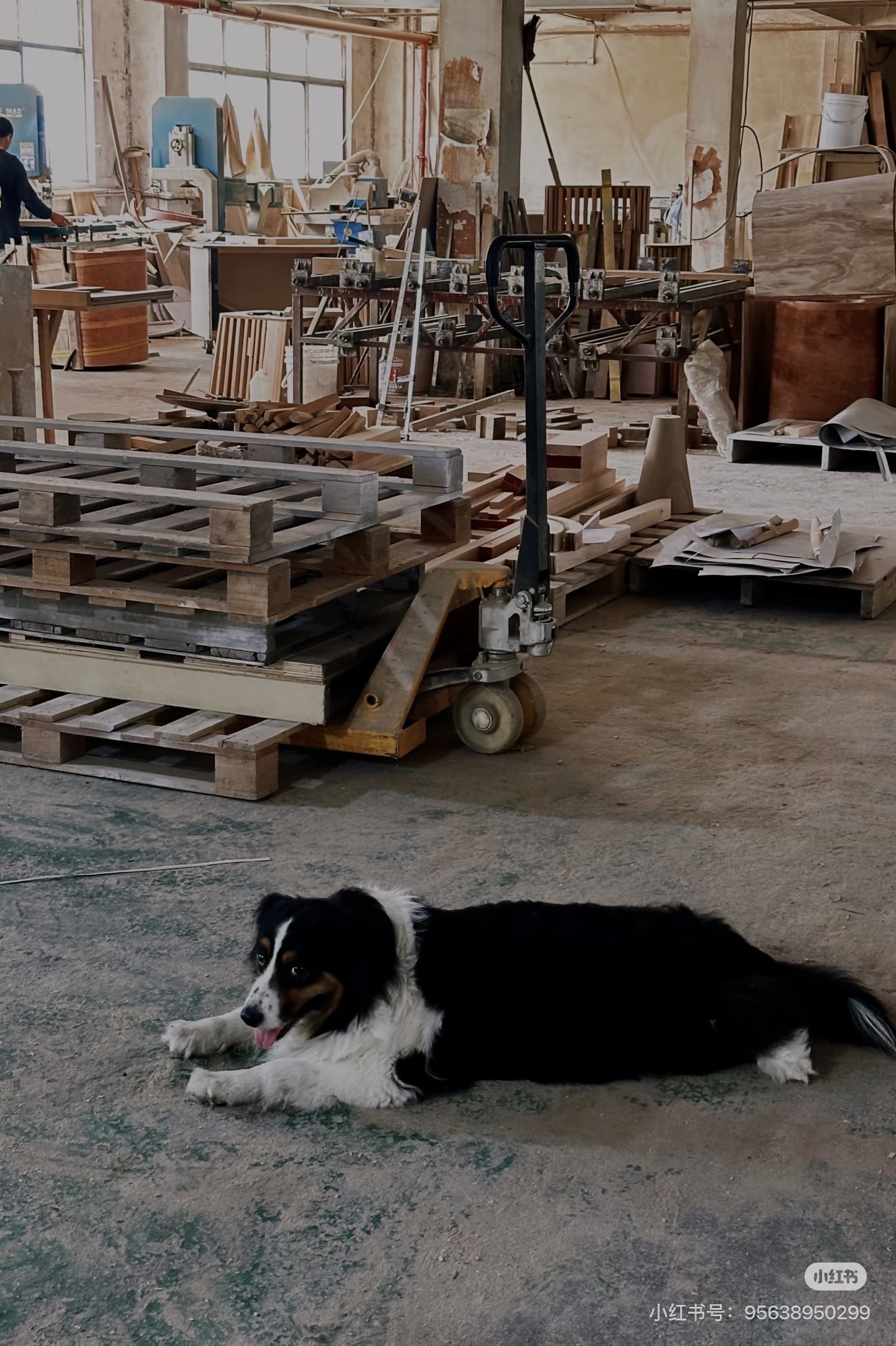 Active custom furniture workshop within Foshan's manufacturing ecosystem
