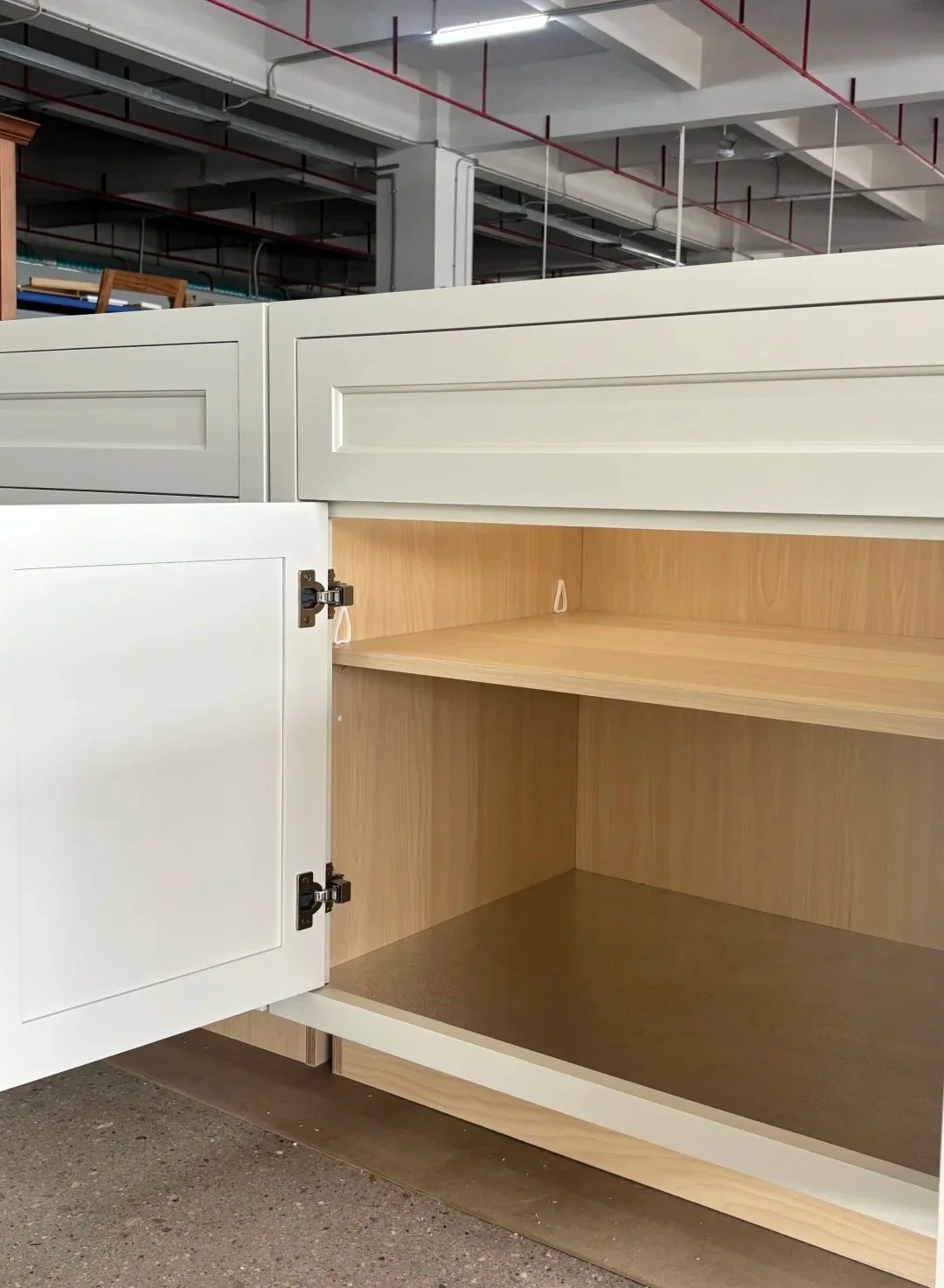 Custom cabinet interior showing shelf, hinges, door construction and finished cabinet box