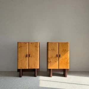 Amber Burl Veneer Curved Cabinet Pair on Dark Wood Legs in mustard — front view