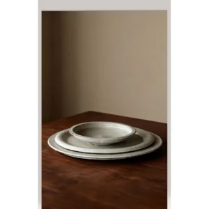 Artist Collaboration Speckled White Ceramic Dinner Plates in ivory — in a room setting