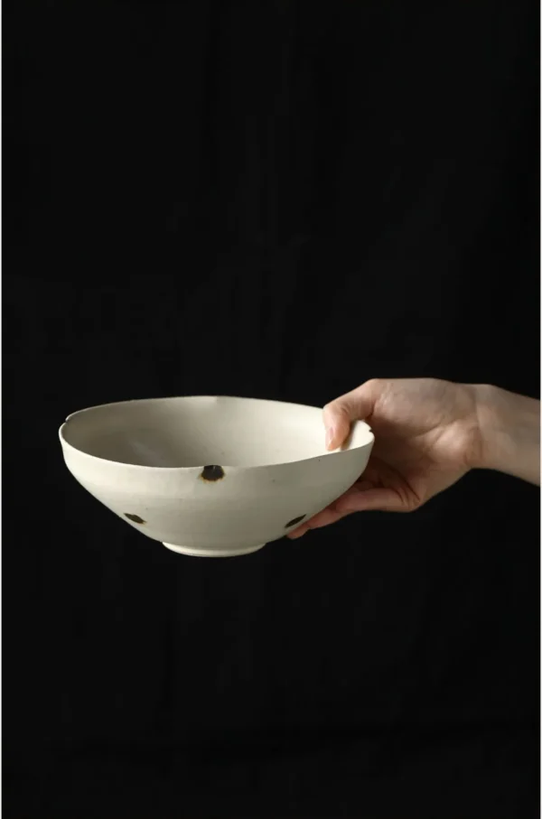 Handmade Ink-Dot Ceramic Bowls and Plates in oatmeal — in a room setting