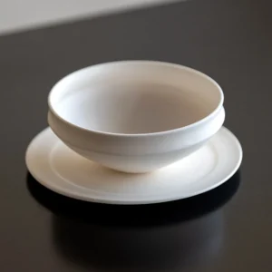 Plain White Ceramic Shallow Bowl and Plate in ivory — front view
