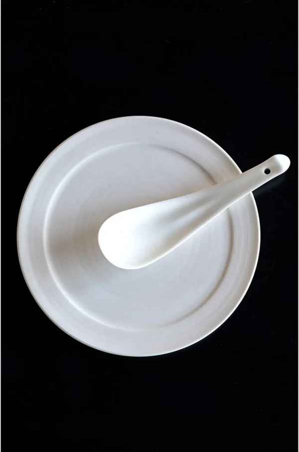 Plain White Ceramic Shallow Bowl and Plate in ivory — in a room setting