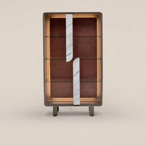 Curved Glass Display Cabinet in glass — front view