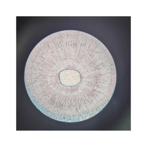 Custom Radiating Disc Rug in Cream and Blush on Grey — front view