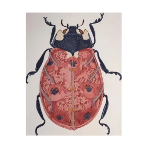 Custom Beetle Art Rug in Coral and Navy on Cream — front view