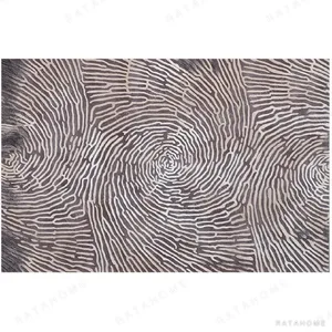 Custom Fingerprint Swirl Rug in Taupe and Cream — in a room setting