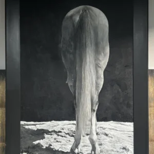 Monochrome Horse Wall Art in Black Frame — in a room setting