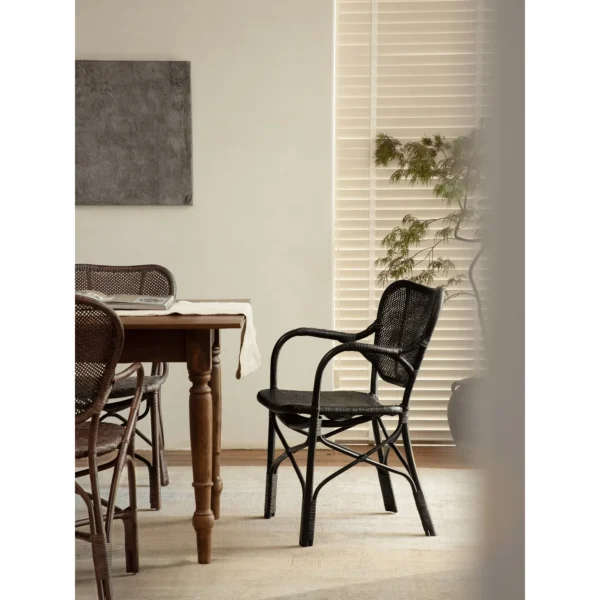 Fan-Back Rattan Chair with Seat Cushion in clay — in a room setting