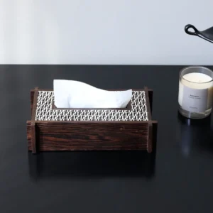 Hand-Made Horsehair Hide and Wenge Tissue Box in clay — front view