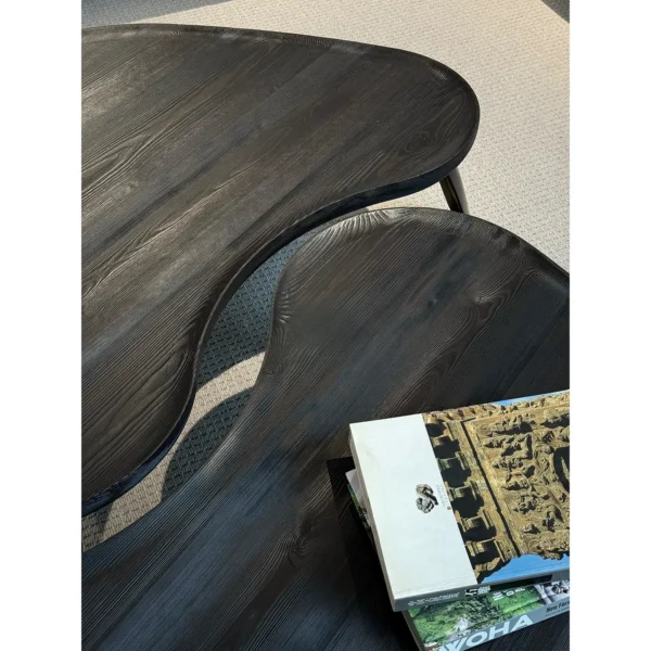Irregular Charred Wood Coffee Table Set of 2 in black — in a room setting