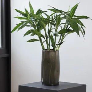 Wide-Mouth Cylinder Glass Vase in slate — front view