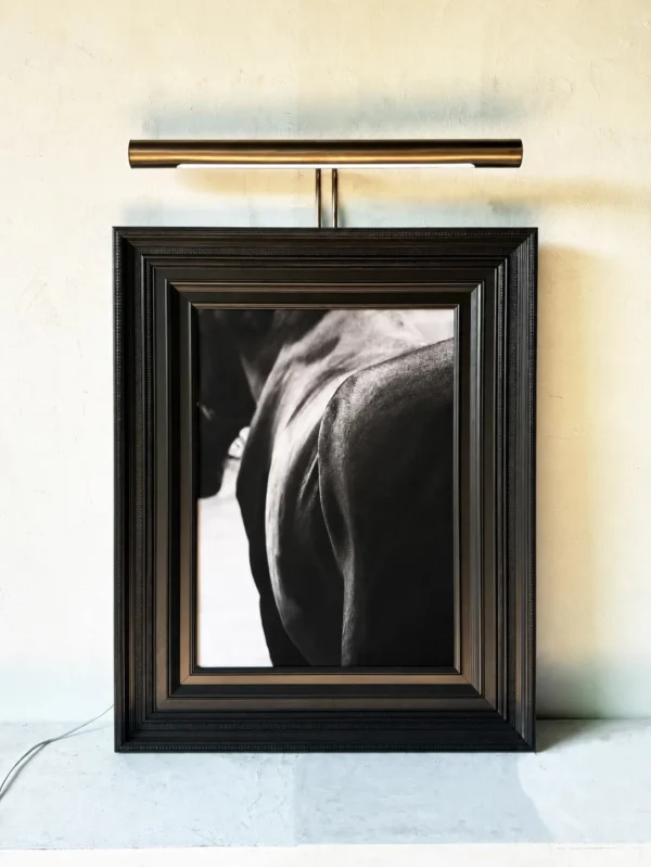 Metal Frame Monochrome Figure Wall Art with Picture Light in black — in a room setting