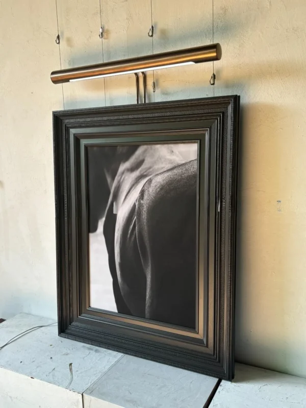 Metal Frame Monochrome Figure Wall Art with Picture Light in black — in a room setting