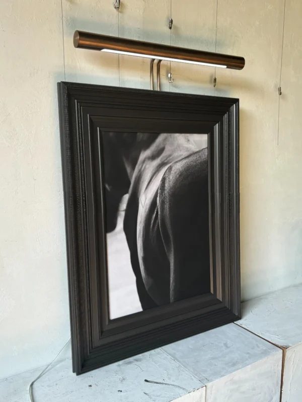 Metal Frame Monochrome Figure Wall Art with Picture Light in black — in a room setting