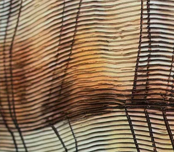 Wood Grain Abstract Wall Art in Black Frame, 75 x 110 cm — detail