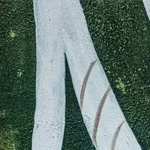 White Line Abstract on Green Painting in Black Frame, 80 x — detail