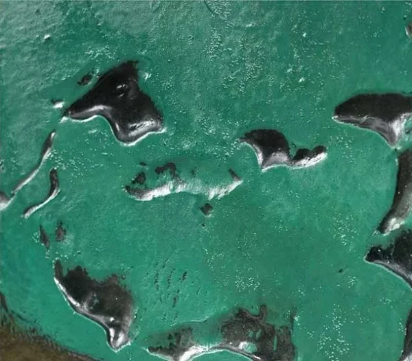 Teal and Olive Marbled Relief Wall Art, 80 x 120 cm in blue — detail