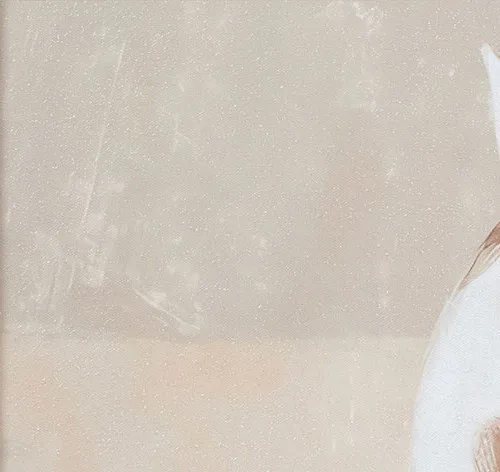 White Cat from Behind Painting in Light Frame, 40 x 60 cm — detail