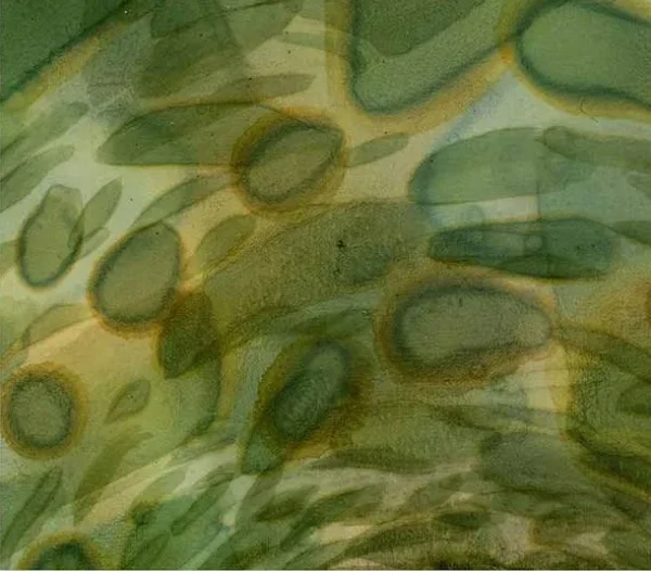 Green Petal Spiral Glazed Wall Art, 80 x 80 cm in olive — detail