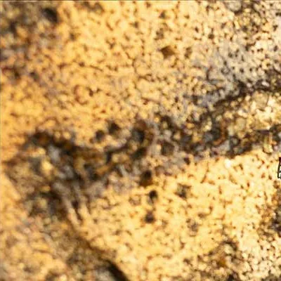 Panoramic Gold Leaf Abstract Wall Art, 252 x 65 cm in brushed brass — detail