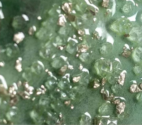 Green Marbled Glass Bead Panel, 85 x 120 cm in olive — detail