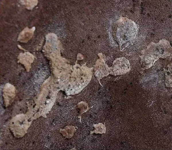 Rust Marble Panel in White Frame, 45 x 65 cm — detail