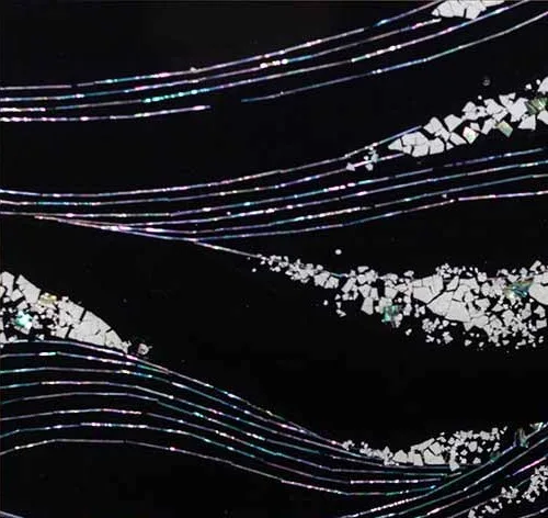 Silver Waves on Black in Ornate Black Frame, 65 x 65 cm — detail