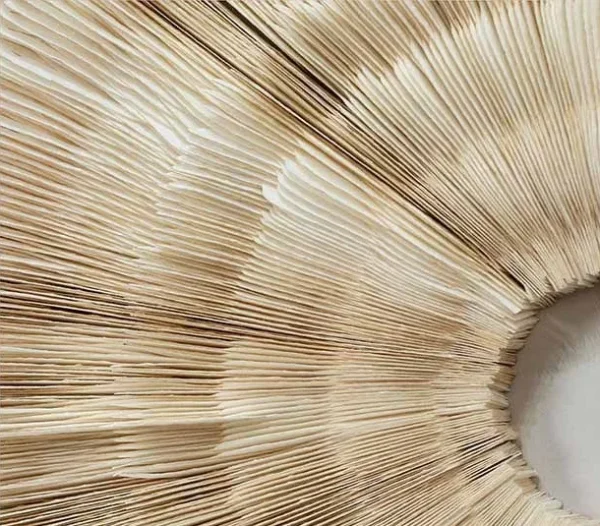 Woven Raffia Fan Relief in White Frame, 80 x 120 cm — detail