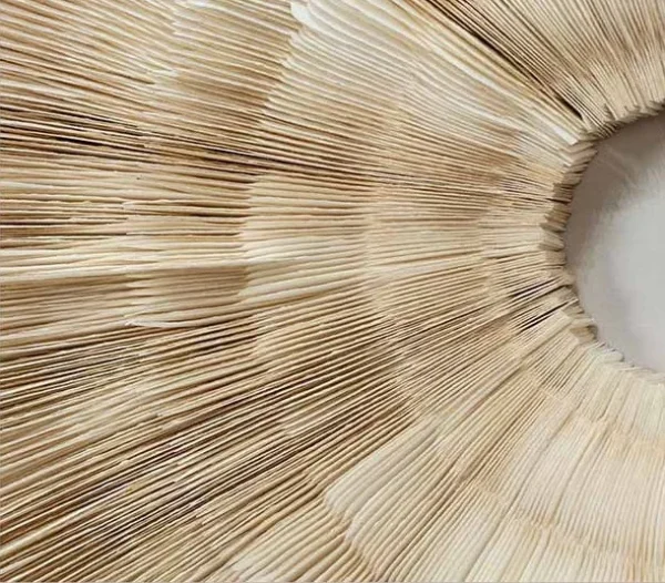 Woven Raffia Fan Relief in White Frame, 80 x 120 cm — detail