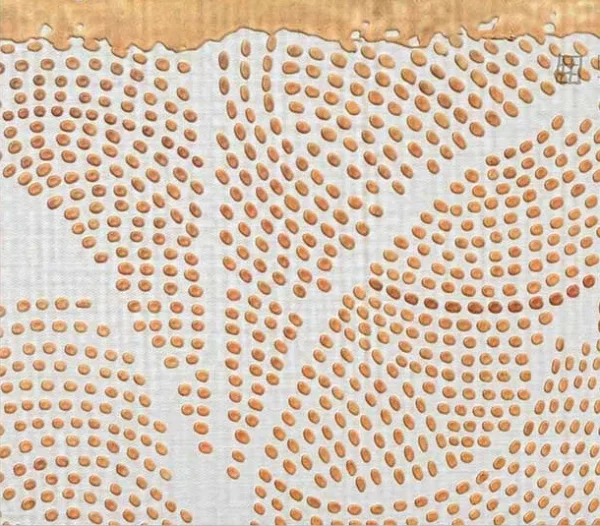 Wide Peach Lace Fragment Panel, 140 x 100 cm in rust — detail