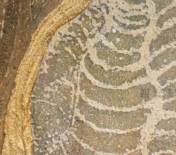 Fossil Fish Relief in Black and Cream Frame, 80 x 120 cm — detail