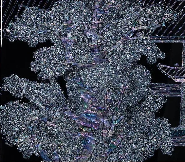 Mother of Pearl Pavilion Scene in black — detail