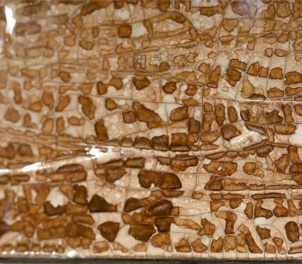 Speckled Stone Panel in Cream Plaster Border, 70 x 85 cm — detail
