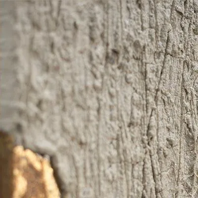 Cream Drip Plaster Panel with Gold Edge, 40 x 55 cm in ivory — detail