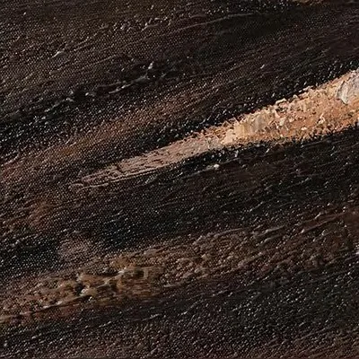 Black Bird Painting in Ornate Gold Frame, 110 x 80 cm — detail