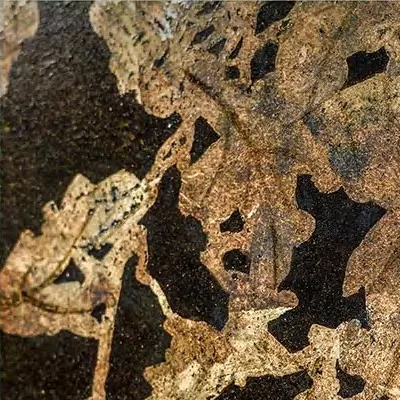 Gold Coral on Navy in Black Frame, 90 x 120 cm — detail