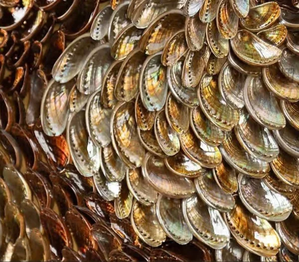 Tall Feathered Swirl Relief in Bronze and Cream, 90 x 180 cm — detail