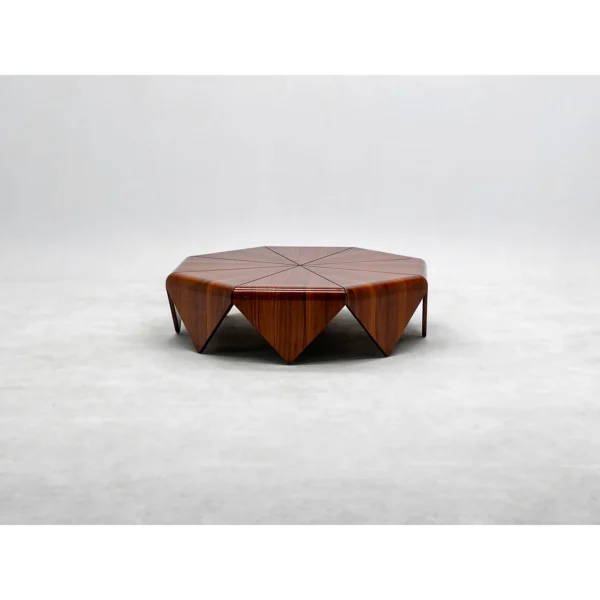 Petal Hexagonal Rosewood Veneer Coffee Table in clay — in a room setting