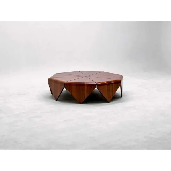 Petal Hexagonal Rosewood Veneer Coffee Table in clay — in a room setting