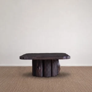 Root Live Edge Solid Wood Coffee Table on Tree Stump Base in clay — front view