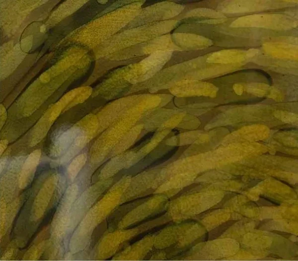 Round Olive Spiral Glazed Disc Wall Art, 100 cm in olive — detail