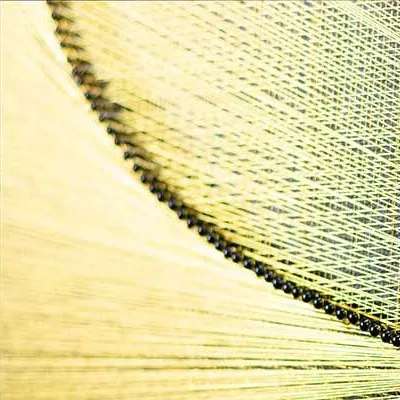 Round Gold Ginkgo Leaf Relief in Black Ring, 120 cm — detail