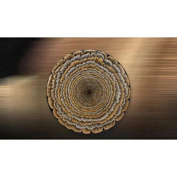 Round Carved Wood Feather Disc with Lacquer, 120 cm in brushed brass — in a room setting