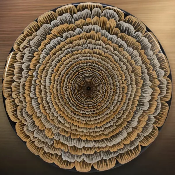 Round Carved Wood Feather Disc with Lacquer, 120 cm in brushed brass — in a room setting