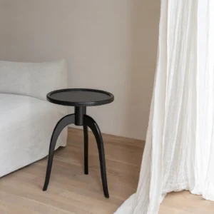 Shinian Black Tripod Side Table with Bird's Eye Top in black — front view