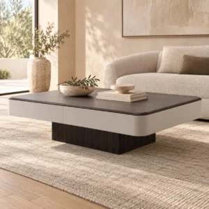 Two-Tone Veneer Coffee Table with Storage on Plinth Base in clay — in a room setting