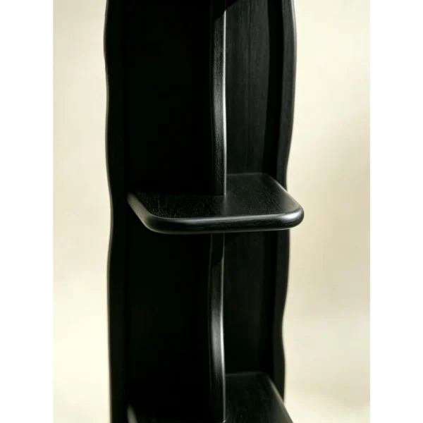 Spine Tall Bookshelf in Black — in a room setting