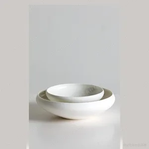 Artist Collaboration Plain Flat Round Shallow Bowl, Small in ivory — in a room setting