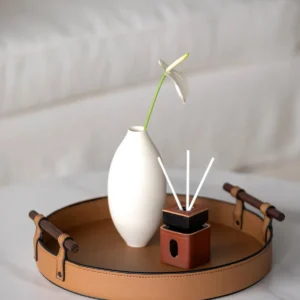 Round Tan Leather Tray in clay — in a room setting